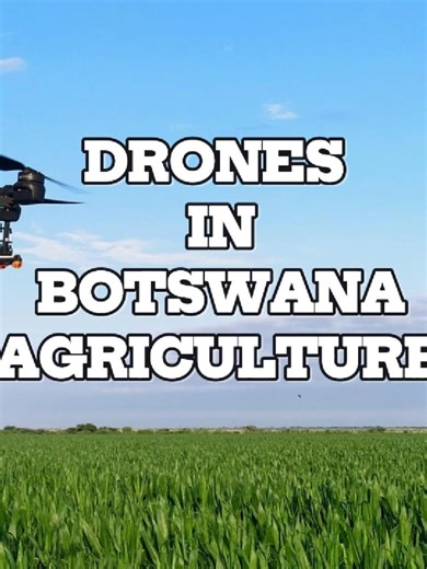 CALL 75318763 / 72312156 TO BOOK YOUR NEXT SPRAY 📷VISUALS BY: @terrasky.drones #PrecisionAerialAgritek #AgriculturalDrones #CropSpraying #Gaborone #Botswana #Farming #Agriculture #PrecisionFarming #Palapye #tuliblock #Talana #mosisedi #kwenantle #Pandamatenga #Ghanzi #Farms #drones #Sale #SelibePhikwe #Kgagodi #Maunatlala #roundupchemical #worms #FallArmywormControl #bollworm #roundworms #herbicides #pesticides