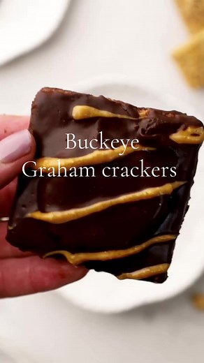 Homemade Buckeye Graham Crackers Recipe