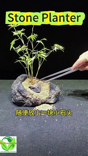 Drill & Bloom: DIY Stone Planter Magic