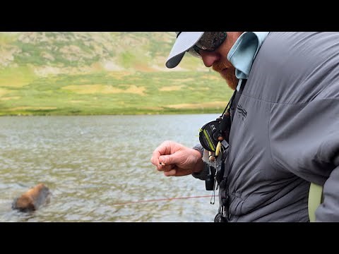 Colorado High Alpine Lake Fly Fishing Report | August Fly Patterns & Conditions | Buena Vista, CO