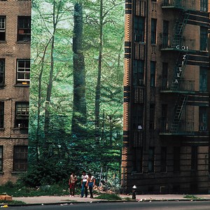 Go!Zilla - Modern Jungle's Prisoners