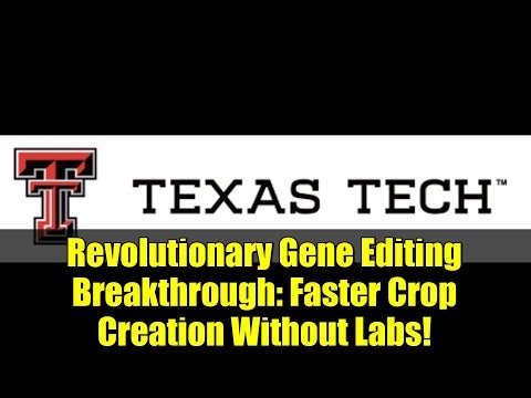 Revolutionary Gene Editing Breakthrough: Faster Crop Creation Without Labs!
