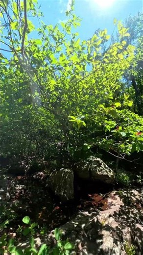 Why you should still hike Taum Sauk even without water #traveltips #hiking