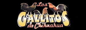 Traditional Chihuahua Songs Compilation