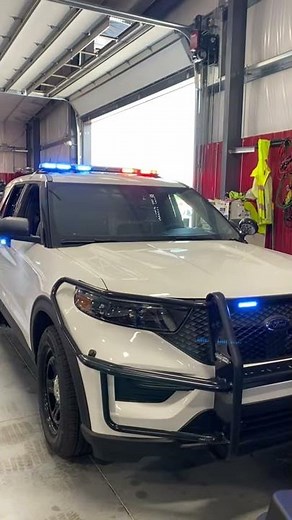 Testing A K9 Heat Alarm | 911RR