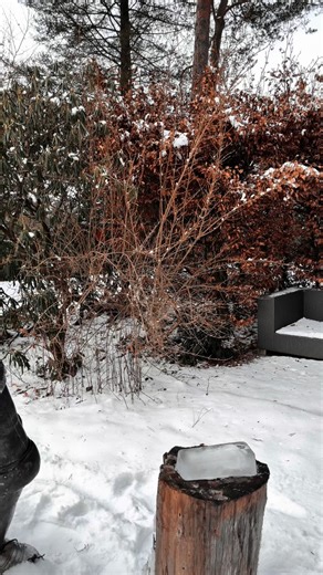 Niklas Wehrmann on Instagram: "22lbs Steel Mug the ultimate Ice Breaker ❄️ Always a great conversation Piece and a Fun Challenge to drink from! Right now use code: “NIKLASW“ for a knightly 10% off the 22lb mug or any of their other HEAVY products ! Adverstisment/ Collaboration with @theheavycup #mugoftheday #heavymetal #muglife"