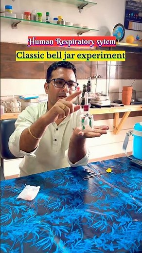 ✅classic bell jar experiment to explain human respiratory system🫁