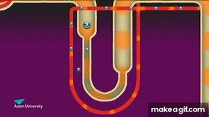 The Kidney & the Counter Current Multiplier: Pharmacology teaching at Aston University on Make a GIF
