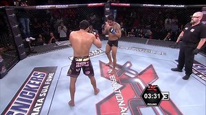 KO en MMA avec un puissant front kick