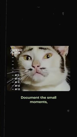 cat and there cute patterns😻😻🙀🙀