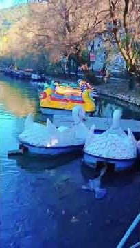 Nainital ki trip Nainital ki jhil ki machhliyan #haryanvisong # #lonarlake #nainilake ❤️❤️❤️🎉🥰@