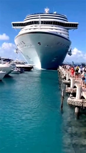175K views · 176 reactions | Cruise Ship Collides With Small Yacht Near the Dock! | Ship Disaster | Facebook