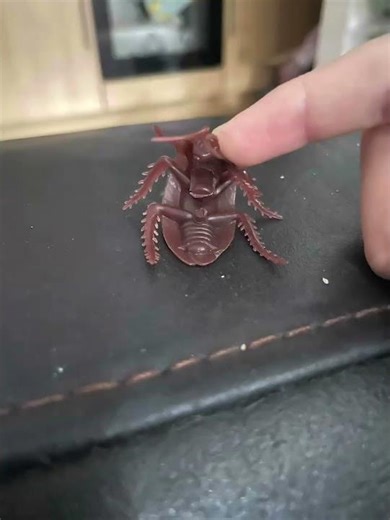 Cokrouch mafia is here