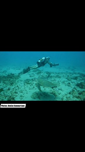 Scarface and Lighthouse/Loggerhead | Scuba Works