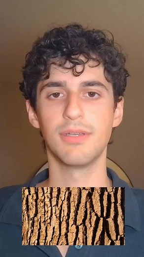 White willow bark is a great natural remedy for aches, tension, and pain. The wildcrafted park has healing antioxidant and polyphenols. #naturalmedicine #herbalhealth #herbalremedy #herbalhealing #health | My Health Forward | Facebook