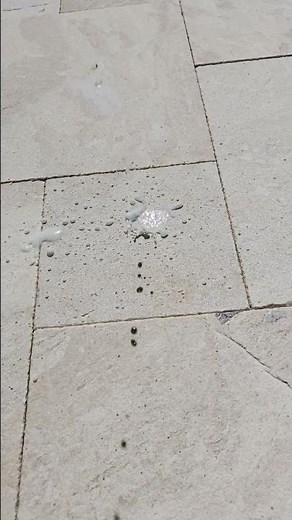 Brick Paver Sealing Demo – Weatherproof & Hydrophobic Protection