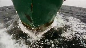 Leviathan (2013) Videos - Trailers, Clips and Interviews