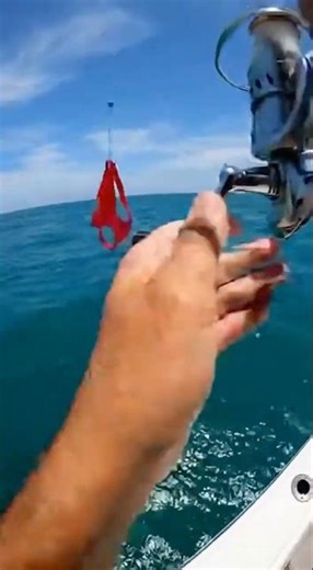 WHY isn't this bait used for fishing? 🤫🤣 #shortsviral #memes