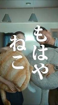 [Short film (vertical)] I can't resist the temptation of cats.