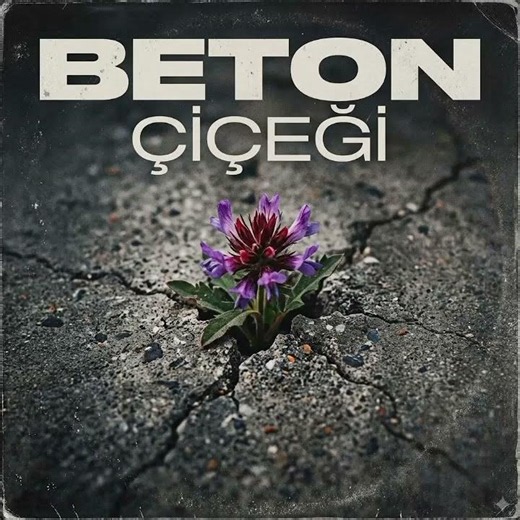 Infin - Beton Çiçeği (Official Audio)