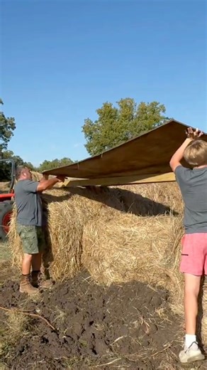 Building a deer blind out of hay!! Building memories with the kids while we deer hunt this year. #deerhunting #hunting #family #memories | Eddy Family Farm