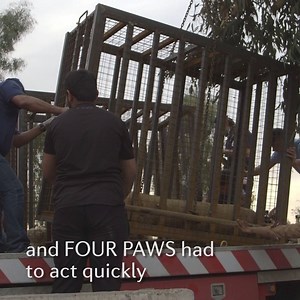 30K views · 1.2K reactions | UPDATE AUS DEM IRAK: Der heutige Tag...