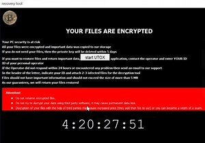 .ウイルスファイルを待っています (ランサムウェアを待っています) - それを除く