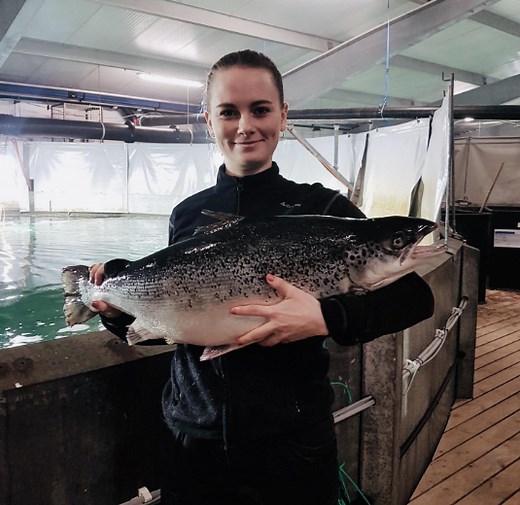 These are the leading land-based salmon farms in the world right now