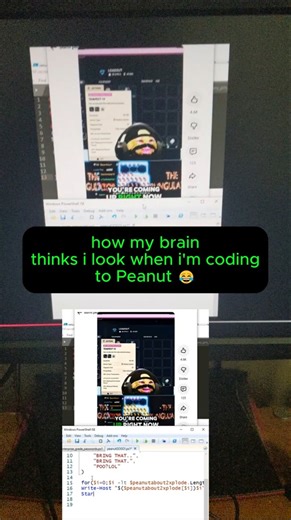 how my brain thinks i look when i'm coding to Peanut 😂
