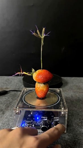 Tesla coil + strawberry + plants
