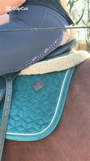 Amazing Equestrian Edit with Horses