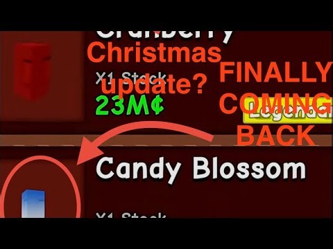 CANDY BLOSSOM IS FINALLY COMING BACK (Not a theory)