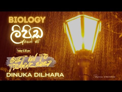 A/L Bio 2027|ලිපිඩ ඇරඹේ|Get in to track|සියල්ල මුල සිට කෙරෙන පන්තිය|Dinuka Dilhara