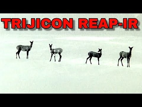 Trijicon REAP-IR | Full Review