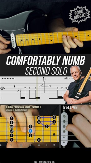 Gary Heimbauer on Instagram: "Gilmour is the GOAT! Grab the Guitar Pro file, PDFs & Helix Preset on Patreon & check out the full song lesson on YouTube! Links in bio . Backing track by Chuy Ortega L.2 on YouTube . . #comfortablynumb #guitarcover #guitarsolo #davidgilmour #comfortablynumbsolo #pinkfloyd #guitarist #guitar #bluesguitar #guitarriffs #riffwars #guitarsdaily #guitars #pinkfloydcover #guitarlesson #guitarlessons #guitarists #guitarrista #guitarristas #guitariste #guitarteacher #guitar
