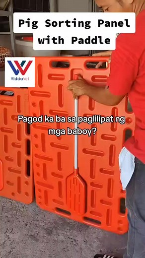 Pig sorting panel with paddle #pig #piggy #pigs #piggerybusiness #piggeryfarm | Viddavet Ph