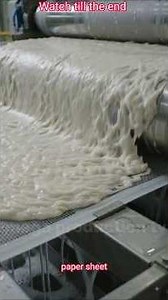 From Maize Waste to Paper — The Factory Process Will Amaze You 🌽