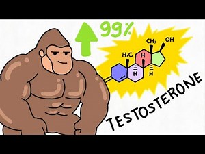 How Apes BOOST Testosterone Naturally