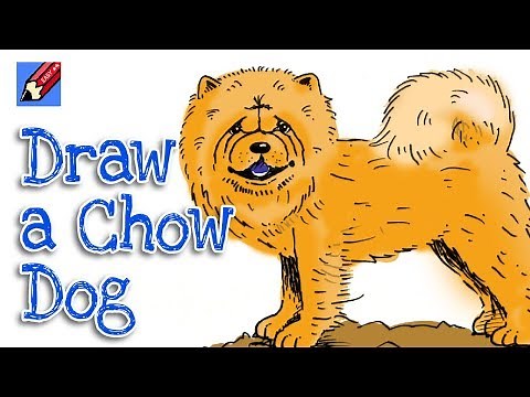 How to Draw a Chow Dog Real Easy