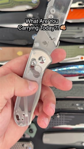 BEST EDC Knife Ever?! 💯🔥 Kizer Drop Bear Utility! #shorts