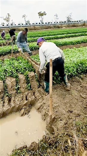 Farmer Shapes Soil For Crop Care #satisfyling @MNnhattech