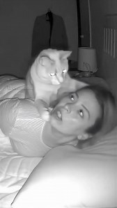 1M views · 5.9K reactions | This is what happens when you're late with the breakfast. A camera caught a woman's cat staging a very loud protest. After carefully placing a metal bowl on the head of its sleeping owner, the feline delivered a powerful smack that resulted in a viral-worthy jumpscare. The woman was left bewildered while the cat just watched. This video is created with AI. | Paul & Friends | Facebook