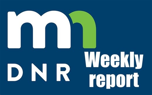 Many DNR officers report improved ruffed grouse hunting as foliage declines