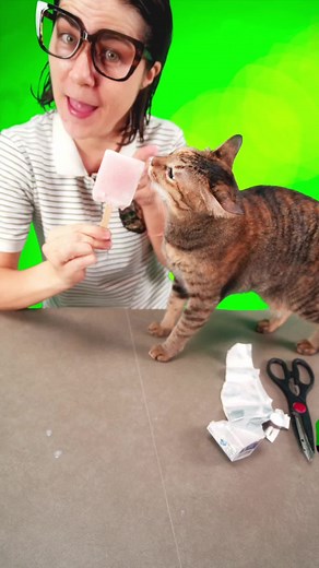 #lifehacks Popsicle Hack So Genius, It’s Insane🍦🤯 What happens when you shove a stick into a juice box and freeze it? A genius popsicle hack… or a frosty failure? You decide! 🤯❄️ #viralvideo #funnyvideos #lifehack #kitchenhacks #hackswithmee #fyp #funnytiktok