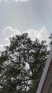 🔥🙈 #reshmachoudhary #dance #bhojpurireel #viral #facebookreel #bhojpurisong #viralvideo | Reshma Choudhary