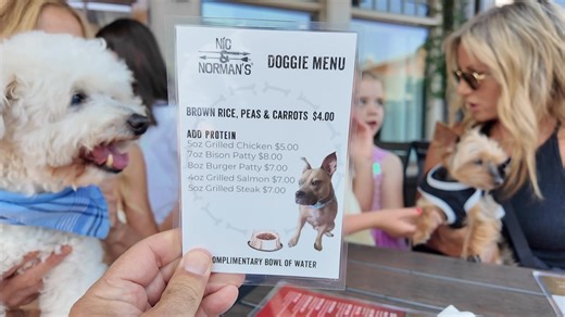 175K views · 2.1K reactions | What? Nic and Norman’s is serving dog food? Yup! And it’s good! The Walking Dead eatery from Norman Reedus and Greg Nicotero now offers a dog menu for pups joining their owners on the patio. Fun dog story to end the week. | Doug Evans FOX 5 | Facebook