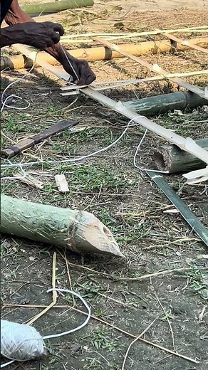 Bamboo farmers ❤️😂 #shortsyoutubeshorts #shortsfeed