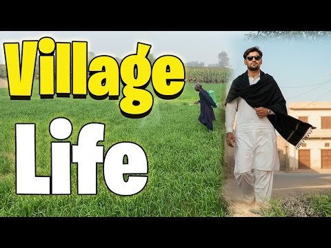 Full Day Farming Routine 🌱 | Spray in Field & Hard Work