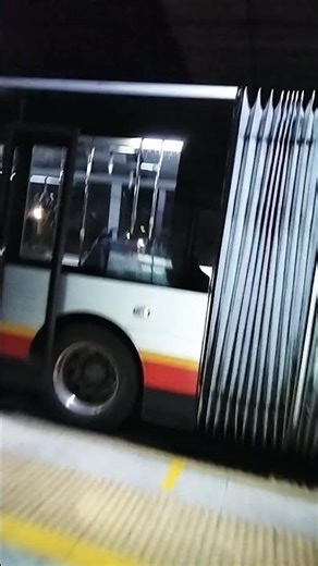 i found the world best bus called bendy bus