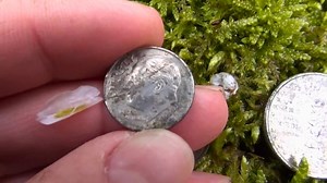 We thought we found WWII US coins — then the dates changed everything